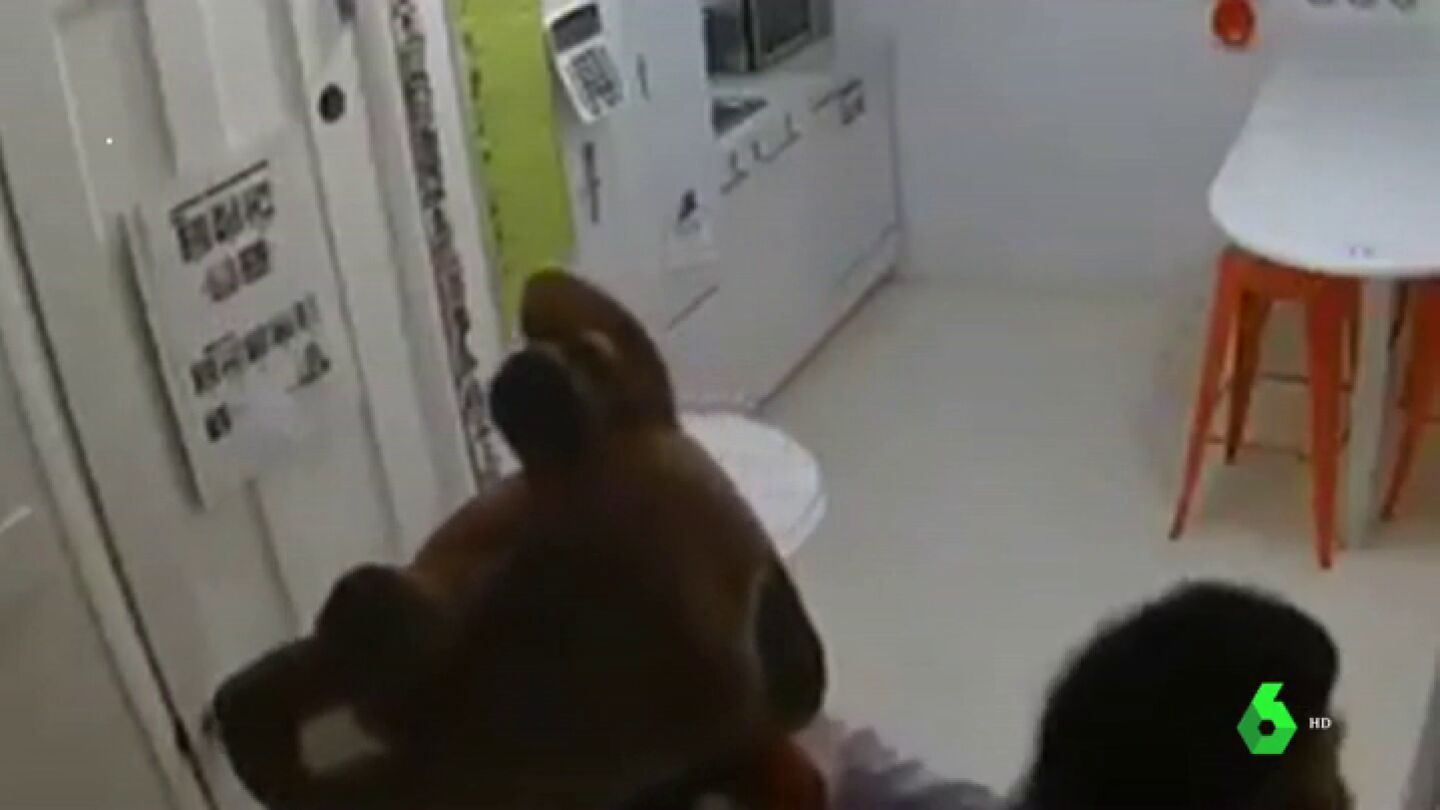 Para robos surrealistas, estos: los dos casos que se est&aacute;n viralizando en toda Am&eacute;rica