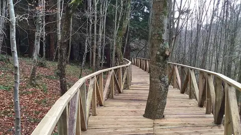 Bosque de Secuoyas de Cabezón de la Sal Bosque de Secuoyas de Cabezón de la Sal