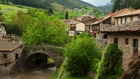 Potes Potes