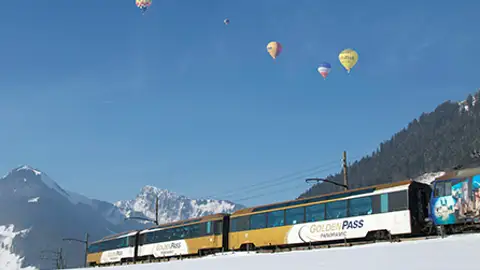 Tren del queso Tren del queso