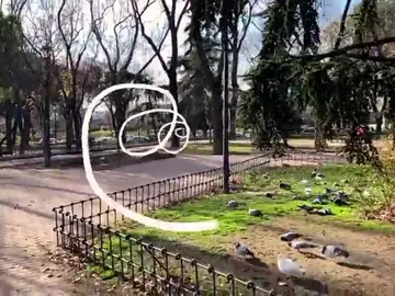 Cómo realizar vídeo de realidad aumentada Cómo realizar vídeo de realidad aumentada