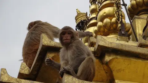Swayambhunath Swayambhunath