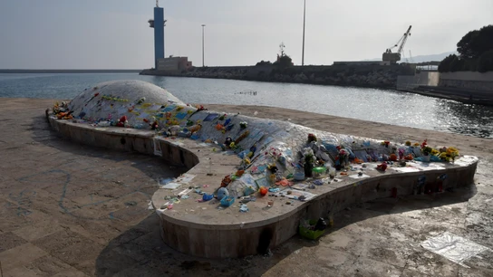 La Ballena homenaje a Gabriel Cruz en Almería La Ballena homenaje a Gabriel Cruz en Almería