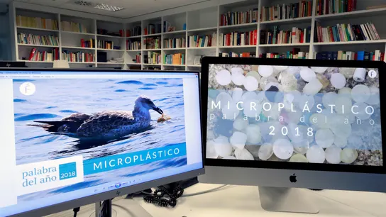 'Microplástico', palabra del año 2018 para la Fundéu 'Microplástico', palabra del año 2018 para la Fundéu