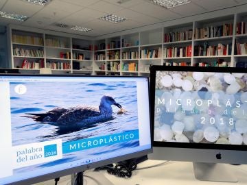 'Microplástico', palabra del año 2018 para la Fundéu 'Microplástico', palabra del año 2018 para la Fundéu