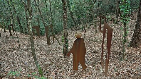 Bosque Orrius 
