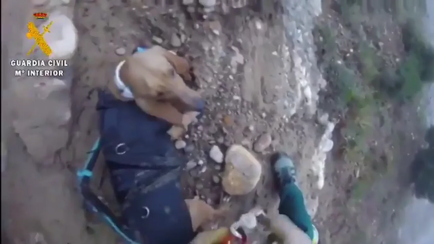 El impresionante rescate de la Guardia Civil de un perro que llevaba tres días atrapado en un barranco El impresionante rescate de la Guardia Civil de un perro que llevaba tres días atrapado en un barranco
