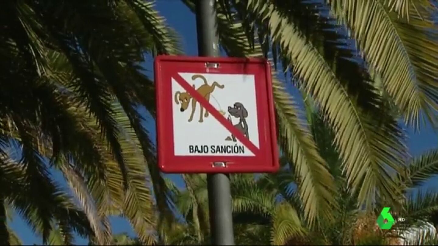 Divisi&oacute;n en Benalm&aacute;dena por las multas de hasta 500 euros a las personas que no limpien la orina de sus perros
