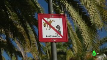 División en Benalmádena por las multas de hasta 500 euros a las personas que no limpien la orina de sus perros
