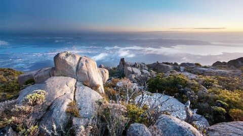 Tasmania