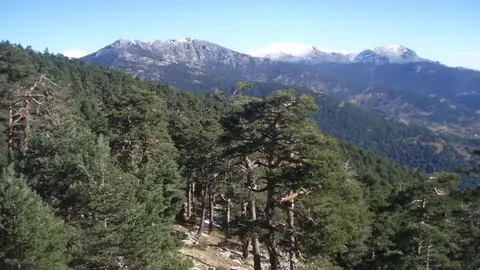 Sierra de Guadarrama Sierra de Guadarrama