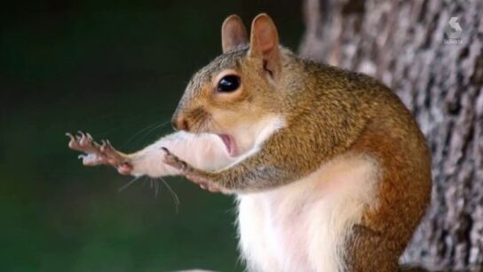 La fotograf&iacute;a m&aacute;s divertida de 2018