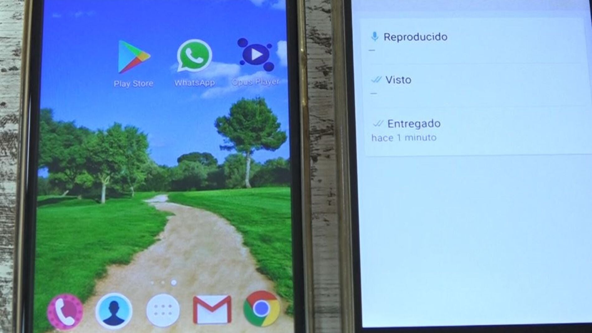 Como escuchar audios de WhatsApp sin que la persona que te los envio se entere