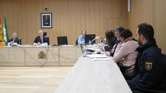 Condenada a 17 a&ntilde;os de c&aacute;rcel por asesinar a su pareja y esconderlo bajo los escombros