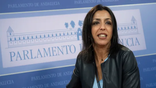 La presidenta del Parlamento de Andalucía, Marta Bosquet La presidenta del Parlamento de Andalucía, Marta Bosquet