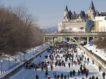 Pistas de hielo Pistas de hielo