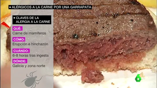 GARRAPATA CARNE GARRAPATA CARNE