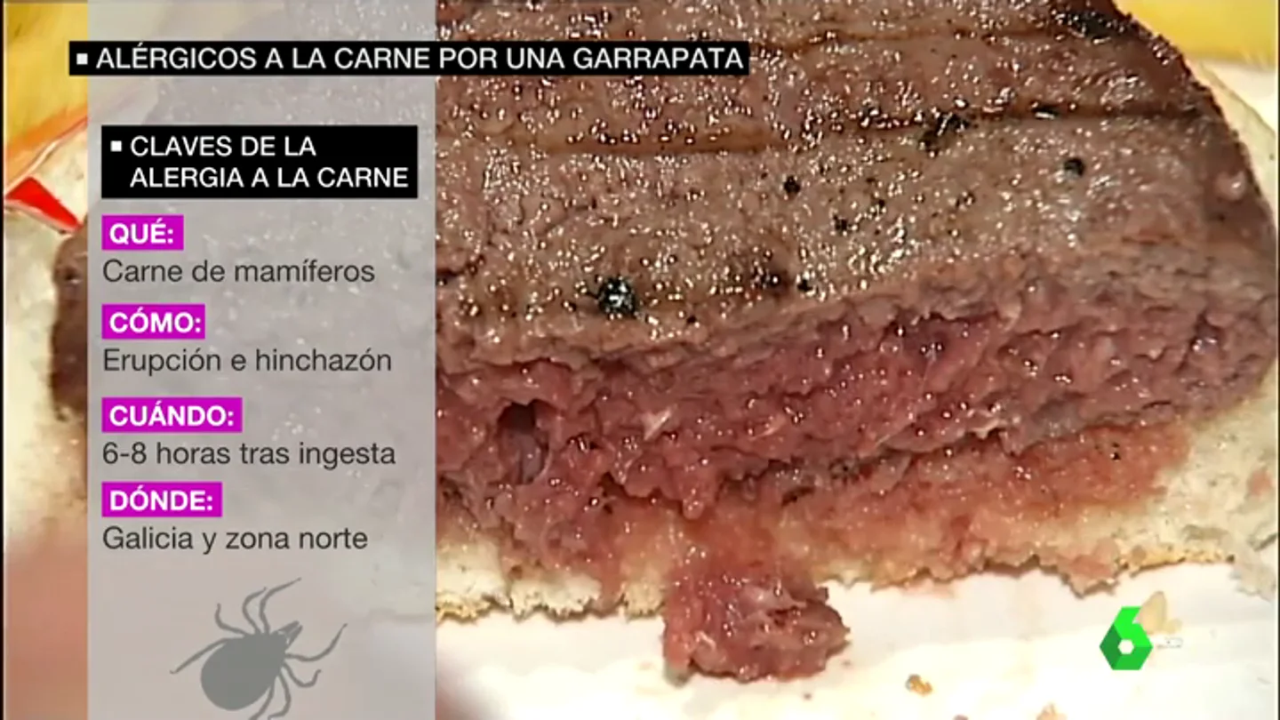 GARRAPATA CARNE GARRAPATA CARNE