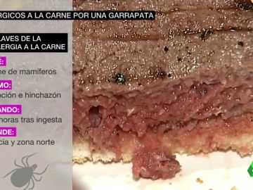 GARRAPATA CARNE GARRAPATA CARNE