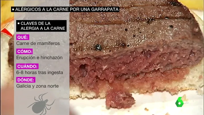 GARRAPATA CARNE