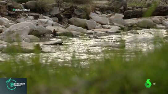 Imagen de un r&iacute;o