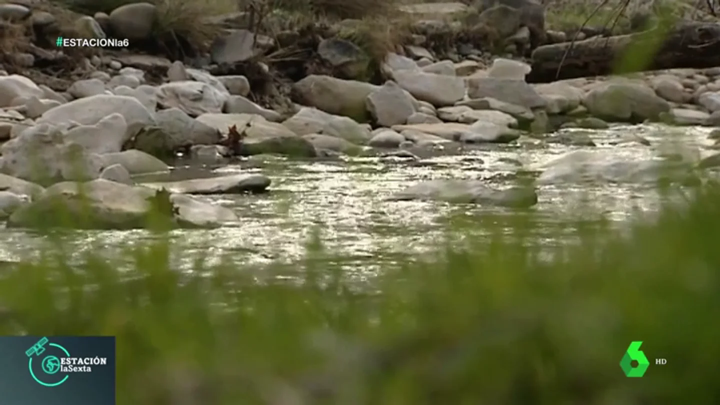 Imagen de un río Imagen de un río