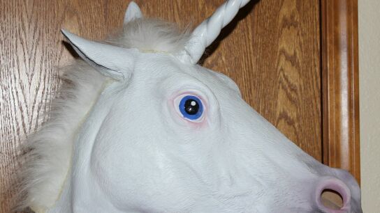 Disfraz de un unicornio.