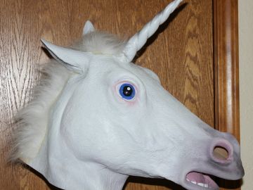 Disfraz de un unicornio. Disfraz de un unicornio.