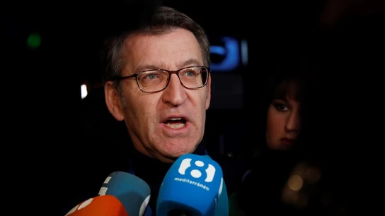 Alberto Núñez Feijóo en la convención del PP Alberto Núñez Feijóo en la convención del PP