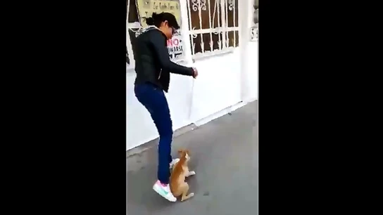 Una joven maltrata a un perro en Chalco, México Una joven maltrata a un perro en México