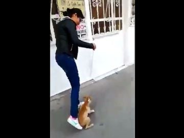 Una joven maltrata a un perro en Chalco, México