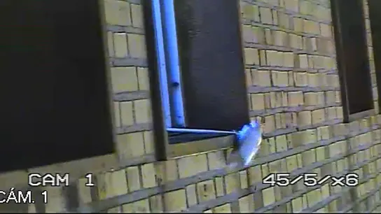 Presos intercambiando productos en prisión Presos intercambiando productos en prisión