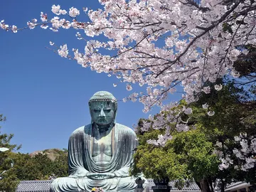 Japón Japón