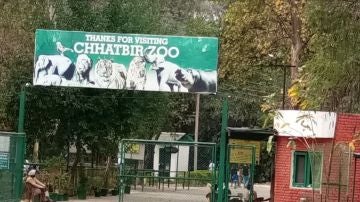 MC Zoological Park