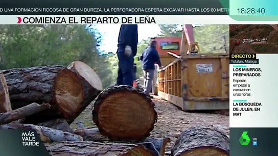 LEÃA CALPE LEÃA CALPE