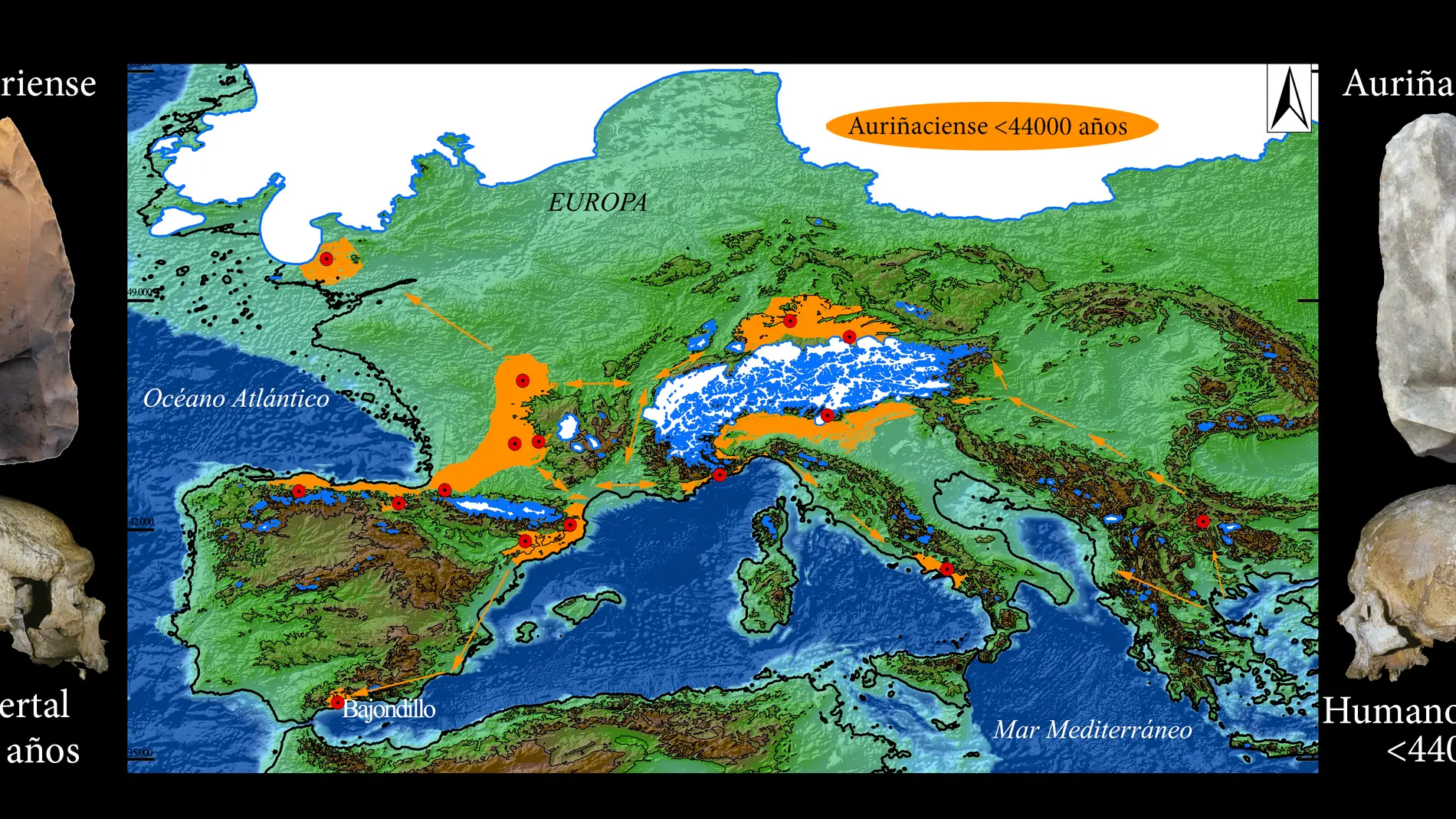 Los humanos modernos reemplazaron a los neandertales en el sur de Espana hace 44.000 anos