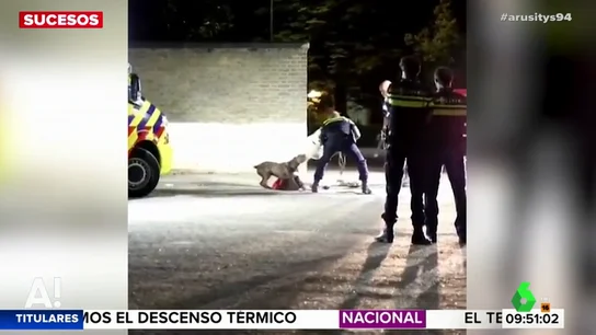Así tranquiliza la Policía a un perro que intenta proteger a su dueña herida Así tranquiliza la Policía a un perro que intenta proteger a su dueña herida