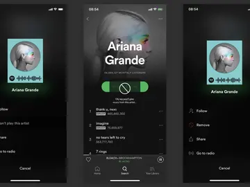 Bloqueo de artistas en Spotify Bloqueo de artistas en Spotify