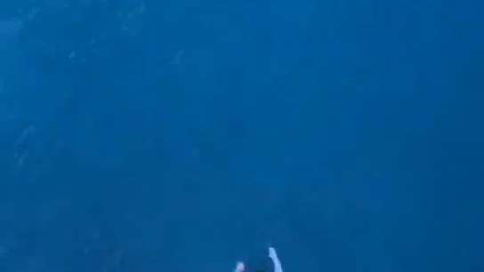 Una empresa de cruceros veta a un estadounidense por lanzarse desde el undécimo piso de uno de sus barcos Una empresa de cruceros veta a un estadounidense por lanzarse desde el undécimo piso de uno de sus barcos
