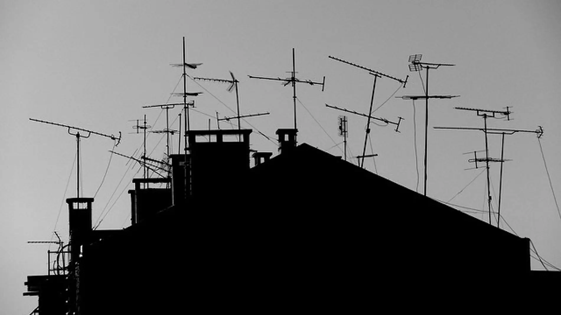 Ciencia y justicia chocan por los efectos de las antenas