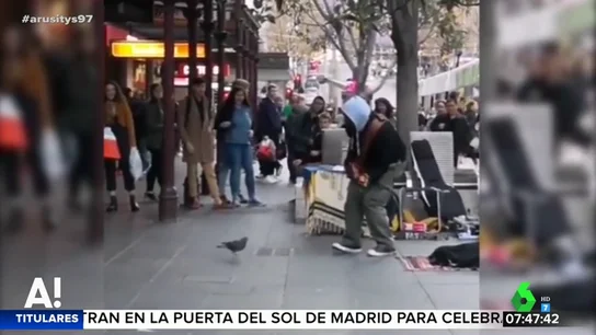 Al ritmo de 'Blurred Lines': así es el baile de la paloma que acompaña a un músico callejero Al ritmo de 'Blurred Lines': así es el baile de la paloma que acompaña a un músico callejero