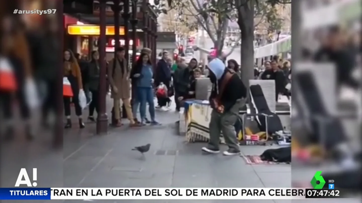 Al ritmo de 'Blurred Lines': así es el baile de la paloma que acompaña a un músico callejero Al ritmo de 'Blurred Lines': así es el baile de la paloma que acompaña a un músico callejero
