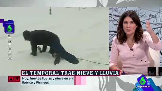 paco paco