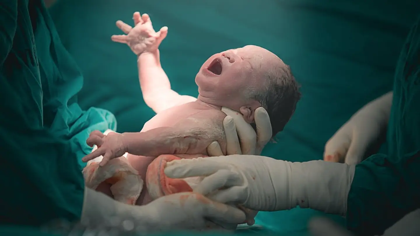 Imagen de un bebé recién nacido. Imagen de un bebé recién nacido.