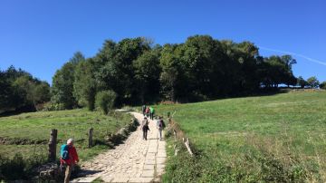 Camino de Santiago