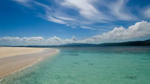 Cayo Arena Cayo Arena