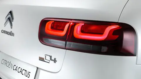 Cactus C4 Cactus C5