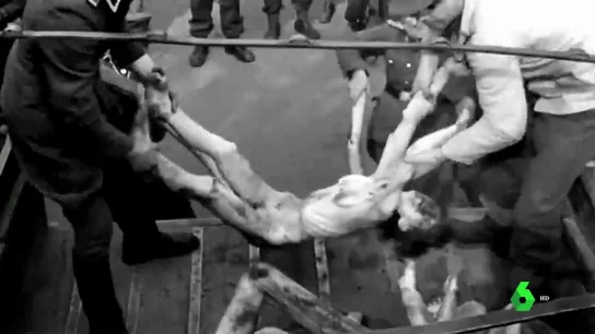 Y Hitler le hizo el trabajo sucio a Franco: 5.000 españoles fueron torturados, gaseados o enterrados vivos en Mauthausen Y Hitler le hizo el trabajo sucio a Franco: 5.000 españoles fueron torturados, gaseados o enterrados vivos en Mauthausen