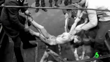 Y Hitler le hizo el trabajo sucio a Franco: 5.000 españoles fueron torturados, gaseados o enterrados vivos en Mauthausen