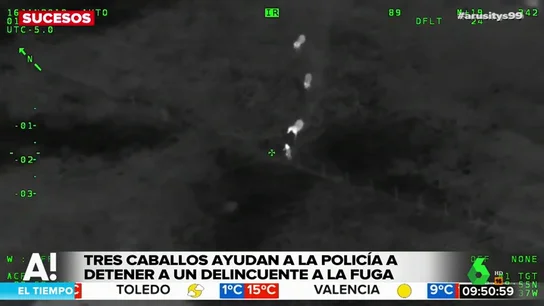 CABALLOS CABALLOS